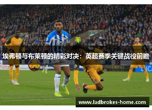 埃弗顿与布莱顿的精彩对决：英超赛季关键战役前瞻