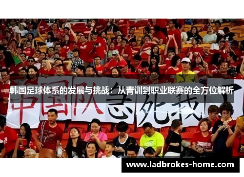 韩国足球体系的发展与挑战：从青训到职业联赛的全方位解析