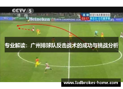 专业解读：广州排球队反击战术的成功与挑战分析