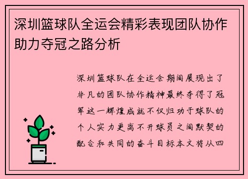 深圳篮球队全运会精彩表现团队协作助力夺冠之路分析