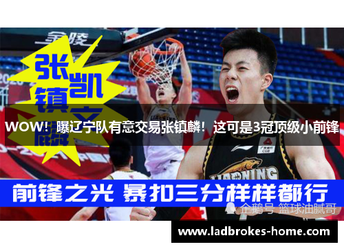WOW！曝辽宁队有意交易张镇麟！这可是3冠顶级小前锋
